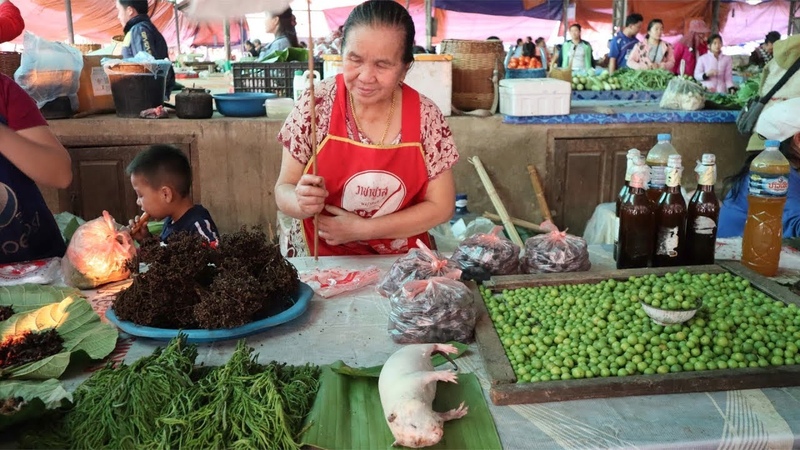 Разговоры обо всём