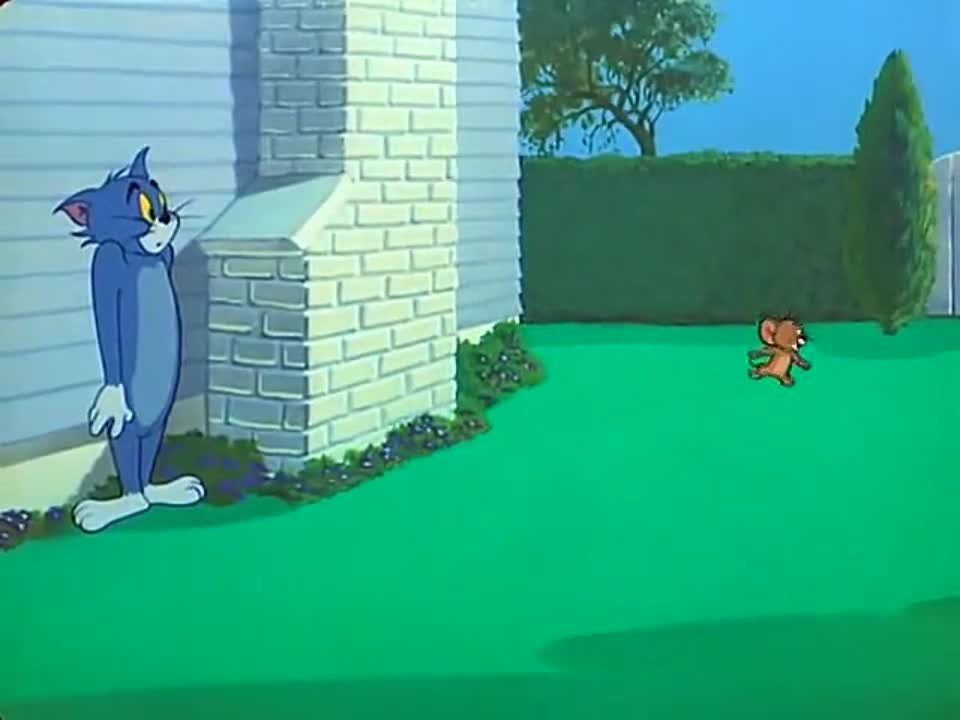 Том и Джерри (Все серии)