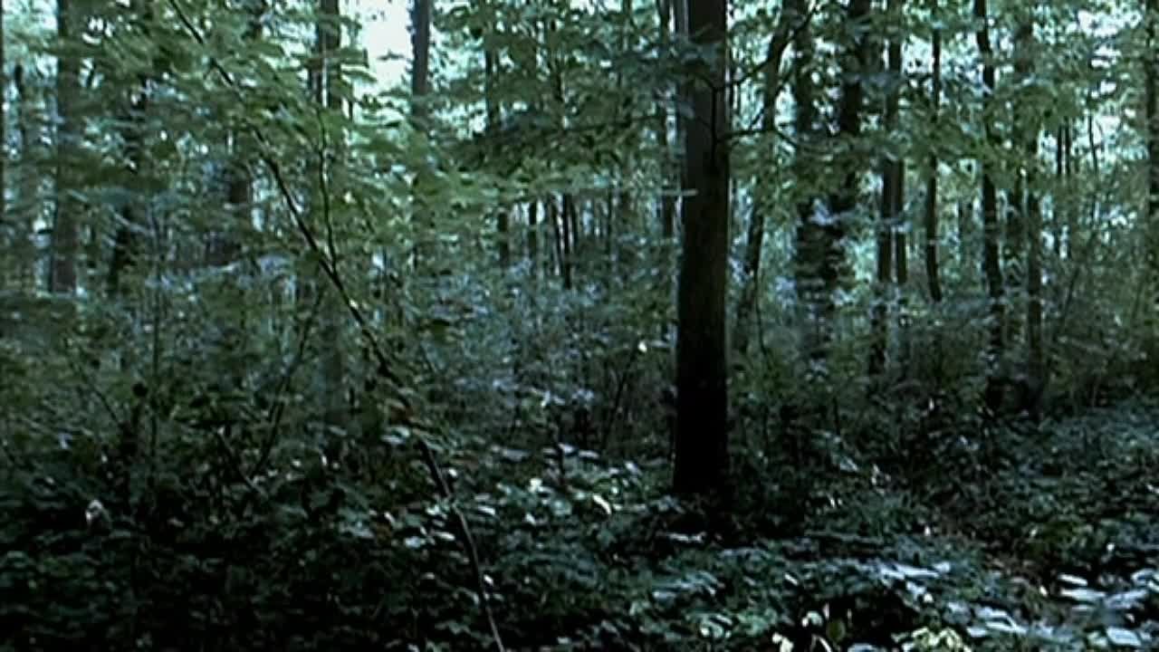 3 в 1 Ужас/Мистика/Триллер