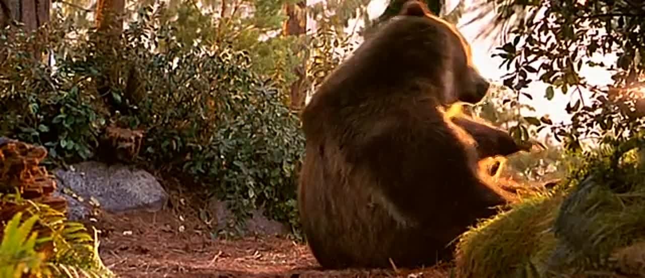 Фильмы про животных