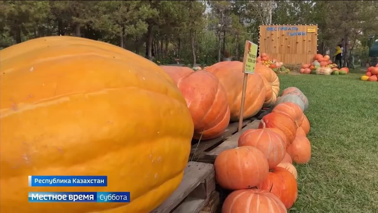 Судогодские рекорды