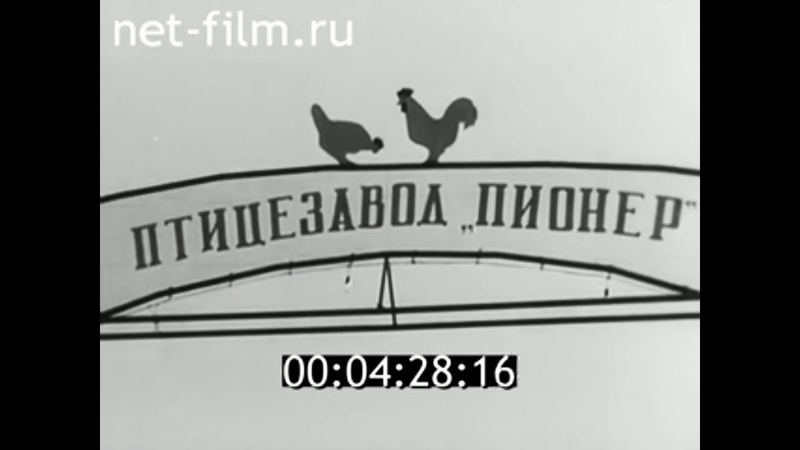 Киножурналы "Наш край" и "Панорама"