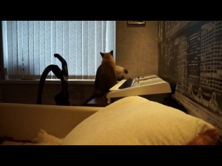 Тасюша и Бетсюша