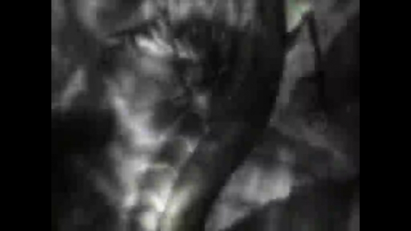 ✿ Одержимые смертью