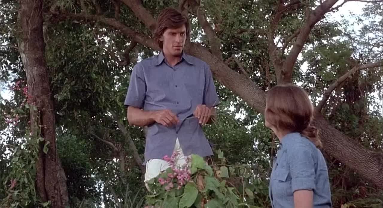 Various  Horror Collection