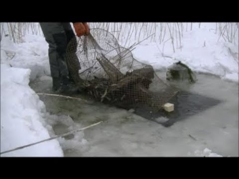 ЗИМНЯЯ РЫБАЛКА