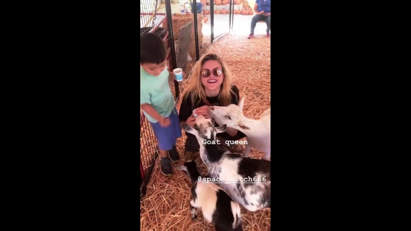 The Pumpkin Patch, Sauvie Island