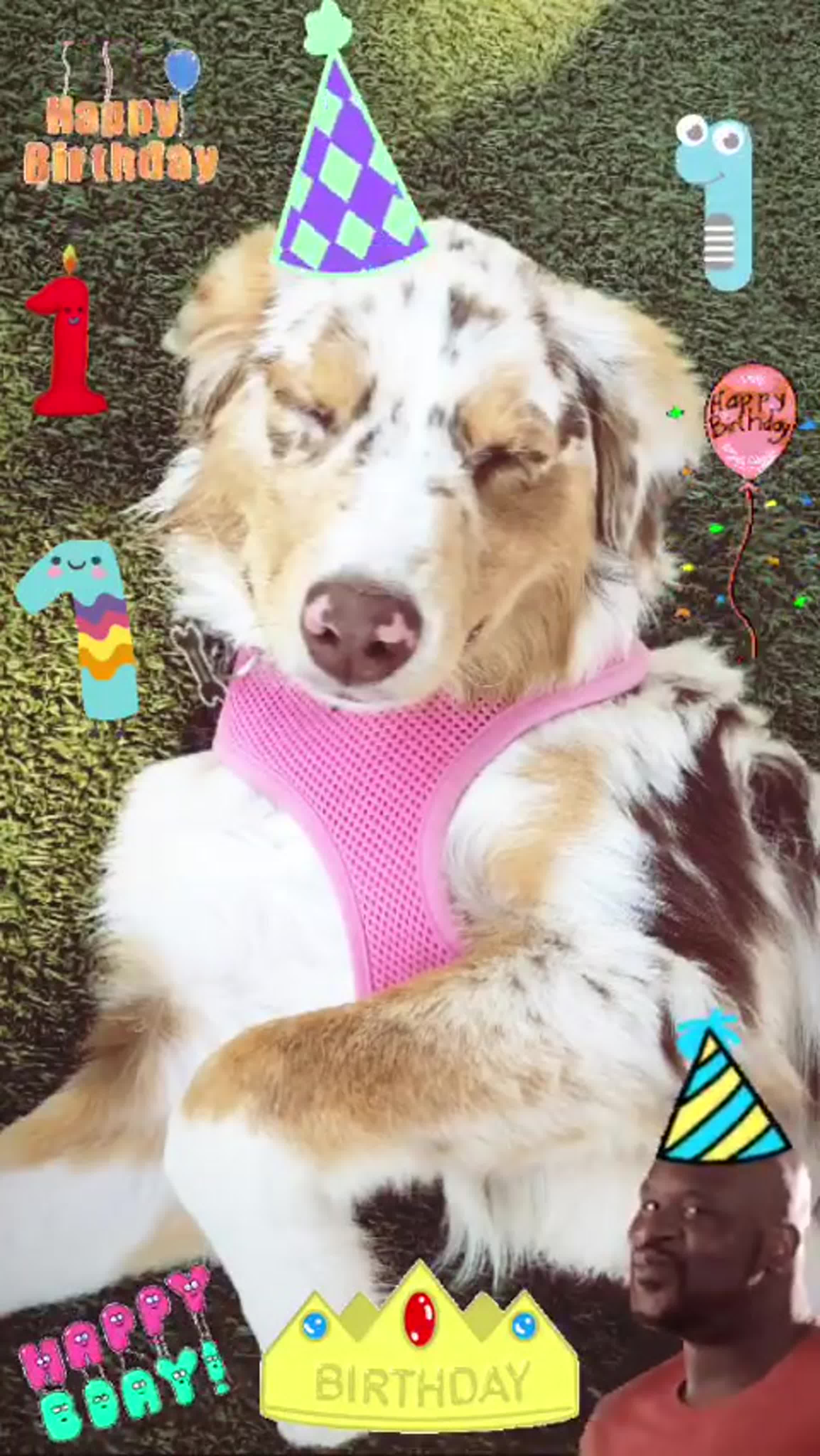 Бланш Деверо