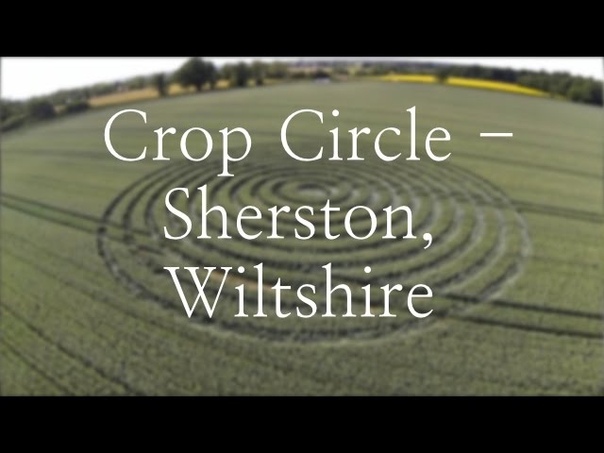 Круг на поле Foxley Road, nr Sherston, Wiltshire. Reported 9th