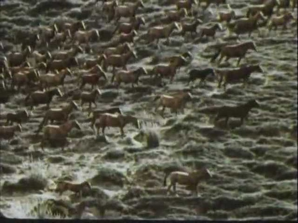 Закон Вернадского