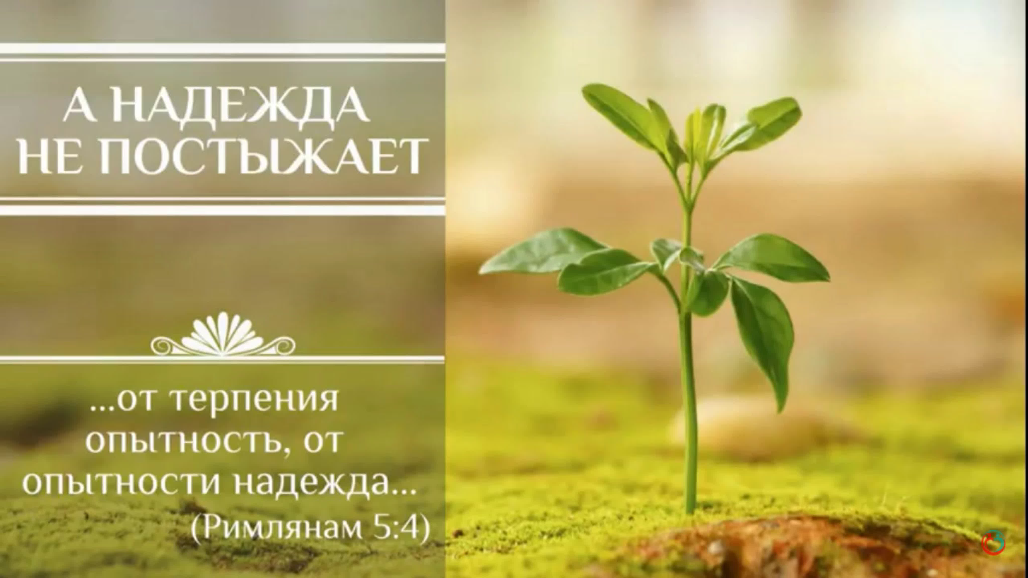 Международные конференции