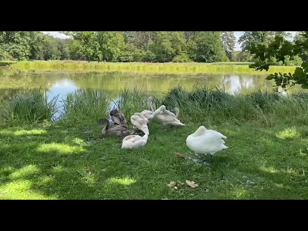 ЕЛЕНА БЛАВАТСКАЯ