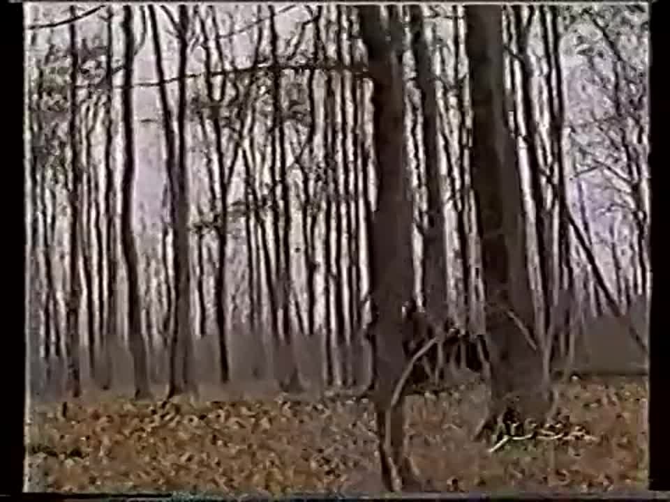 Видео Салон VHS