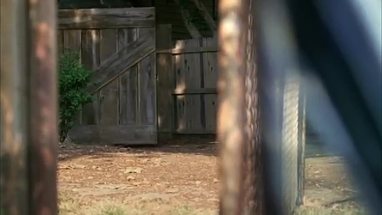 Terminator.Hroniki.Sary.Konnor.AVC RENTV.