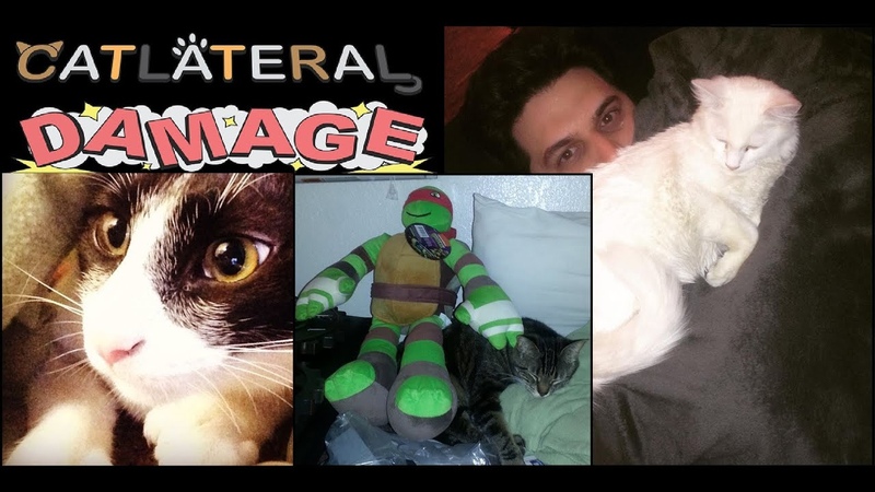 Catlateral Damage