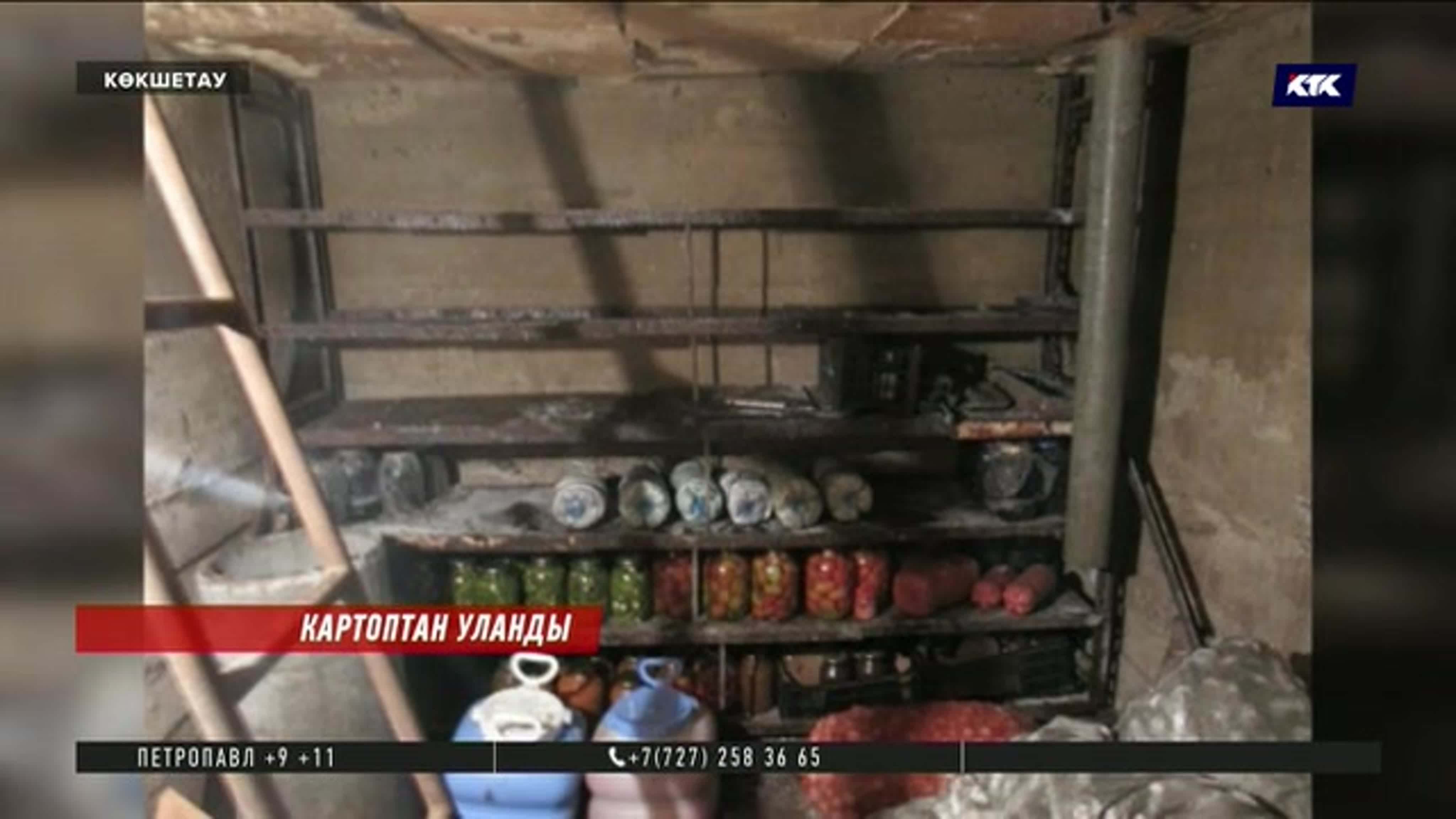 Жаңалықтар