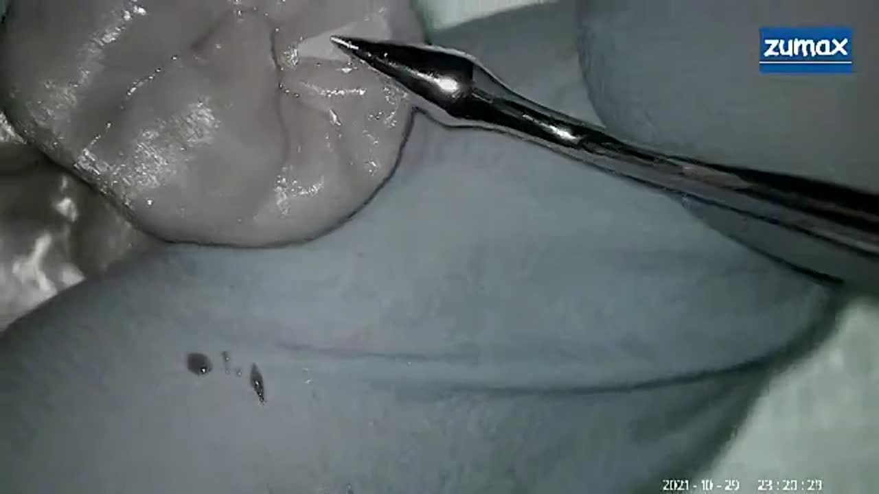 Терапевтическая стоматология