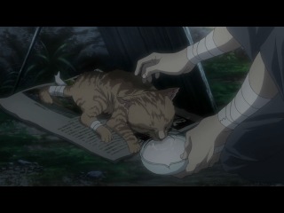 Deadman Wonderland / Страна чудес смертников