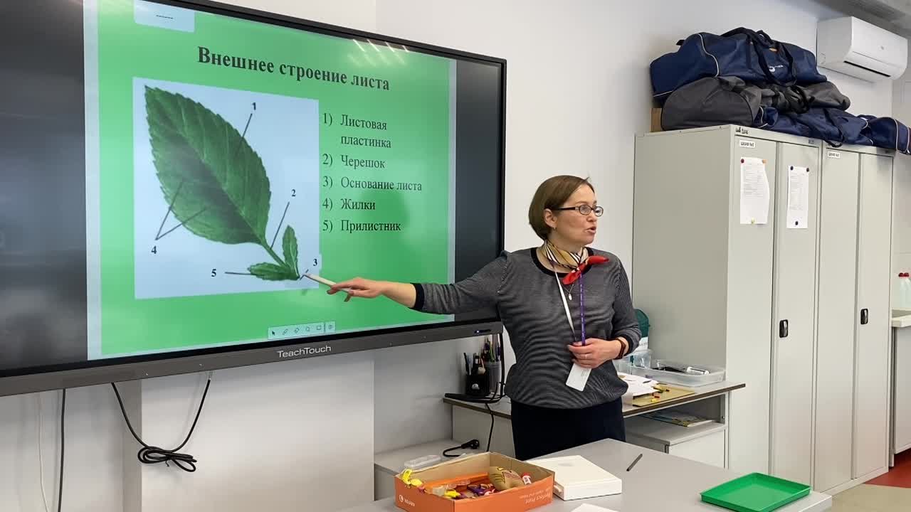 Рабочие материалы