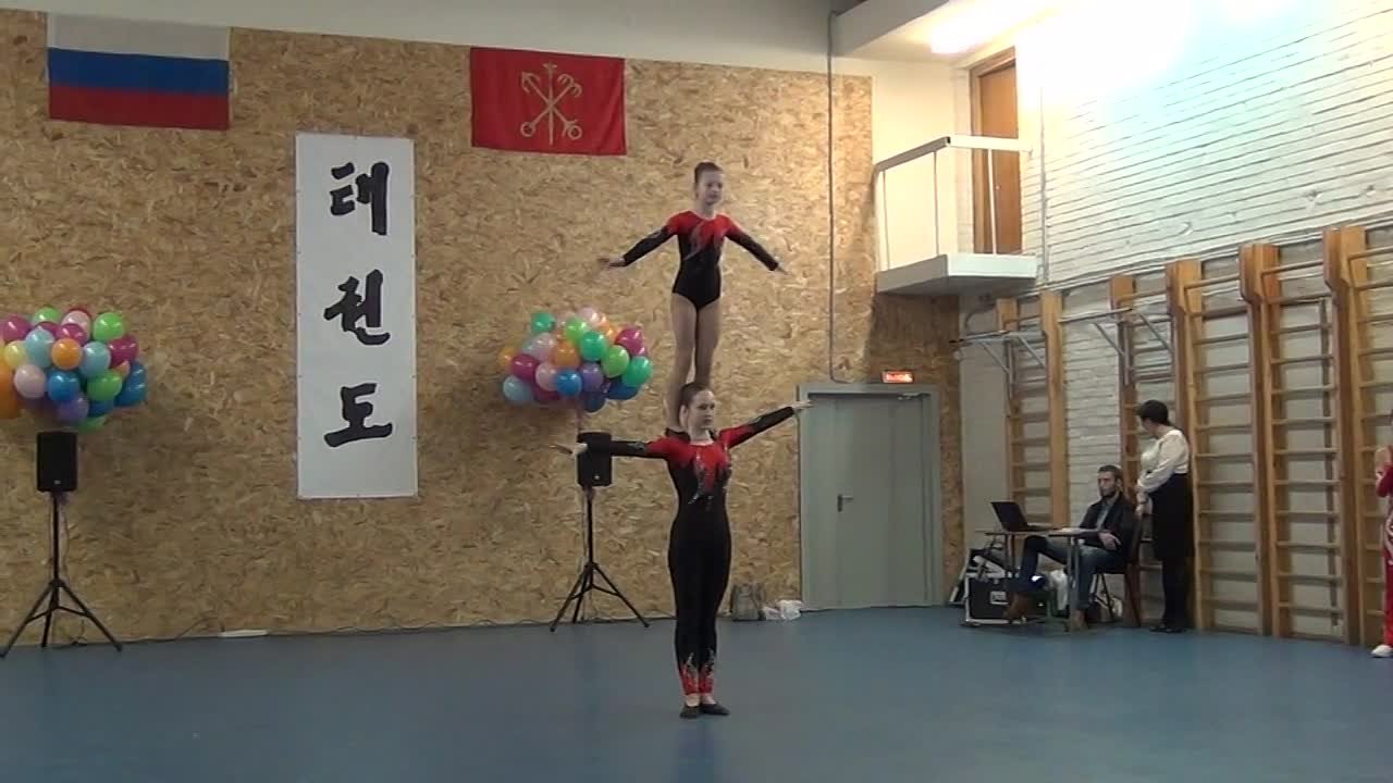 16.01.2015 Фестиваль фитнеса и аэробики "В ритме спорта - 2015"