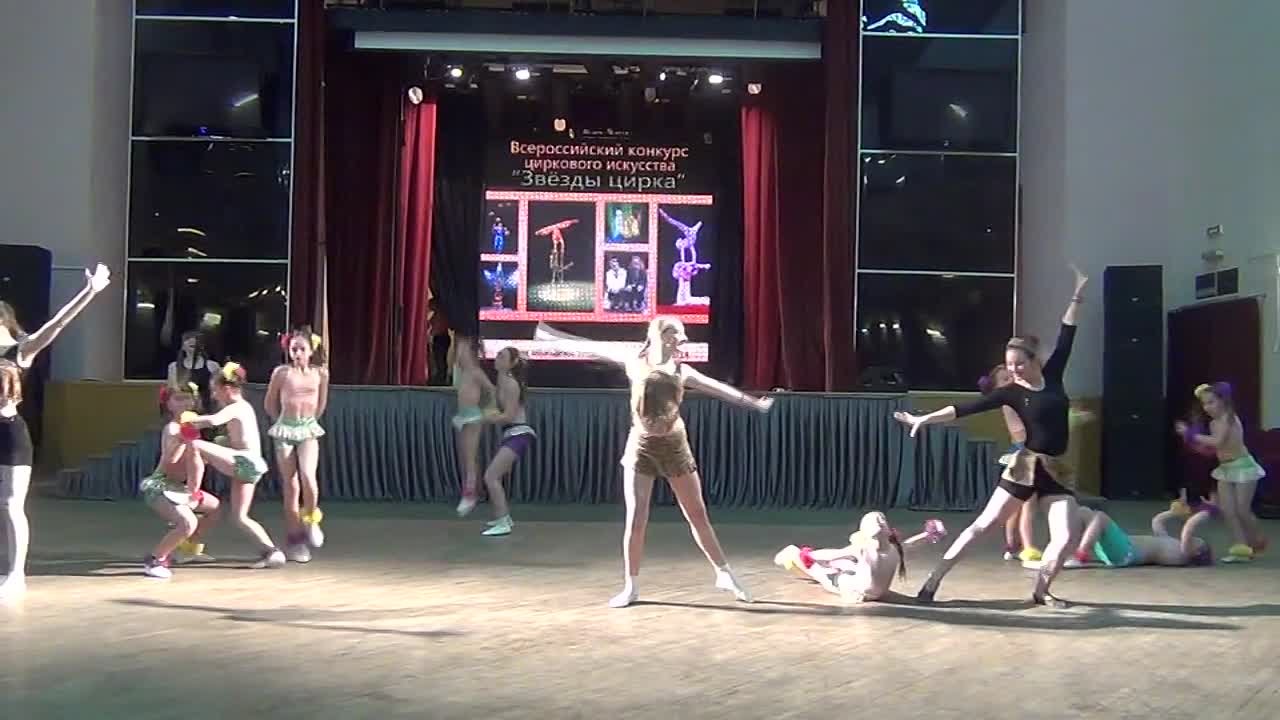 Звезды цирка - 2014