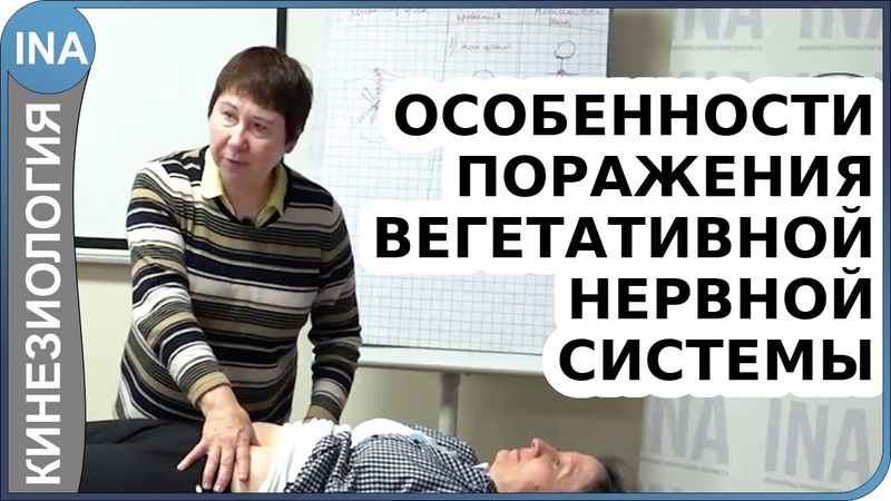 вегетативная нервная система