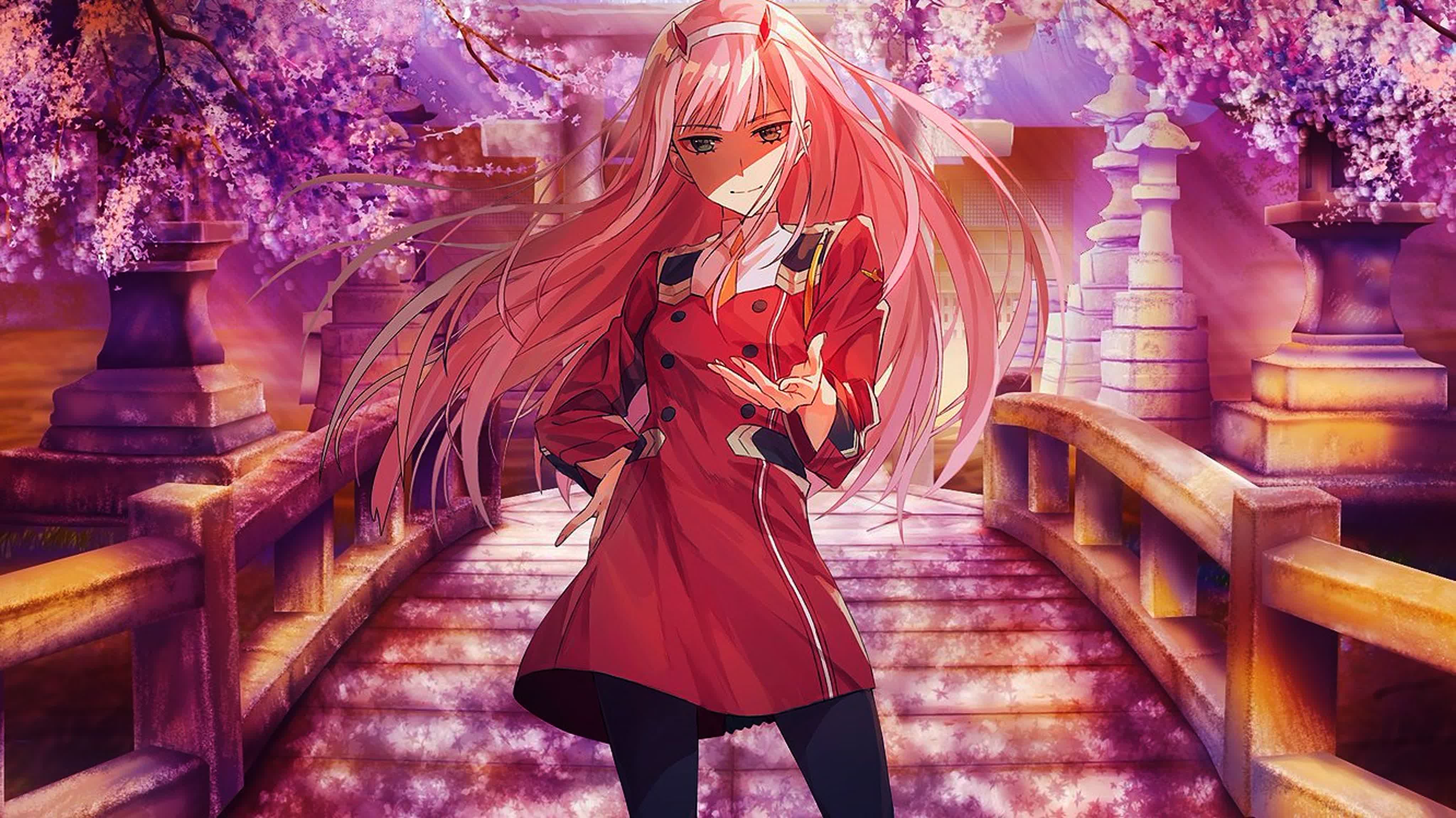 Мультфильмы и анимэ.