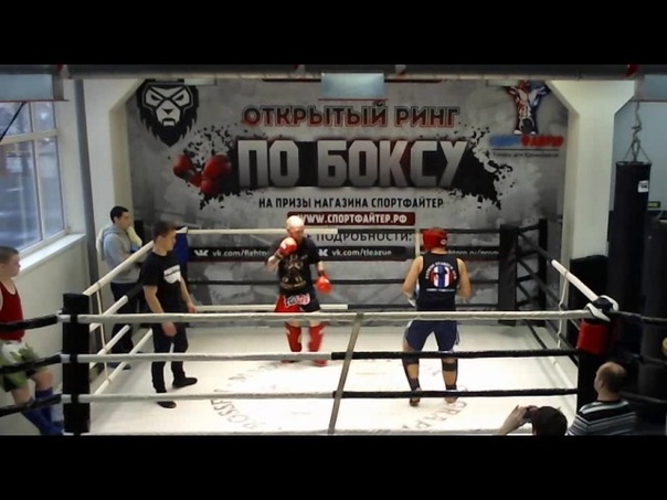 Открытый ринг по муай-тай 29 января 2017 года