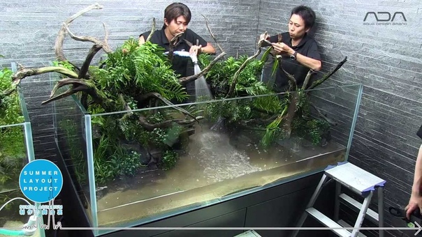 ADA - AQUA DESIGN AMANO