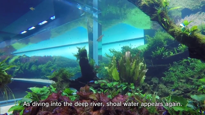 The Road to the World’s Largest Nature Aquarium