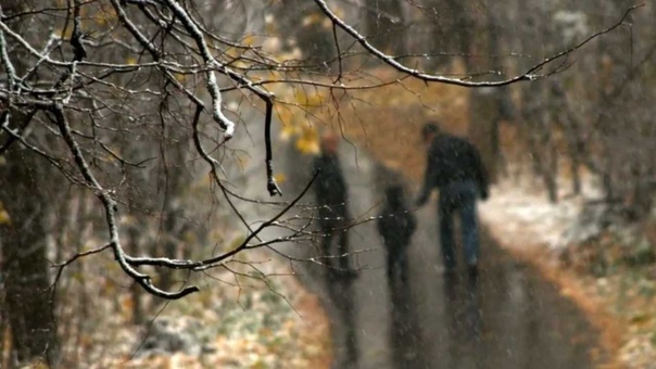 Работы Участников Группы