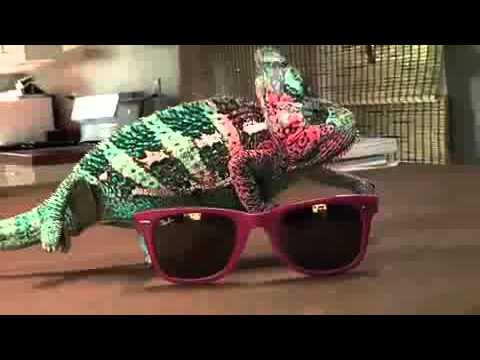 Цветоведение