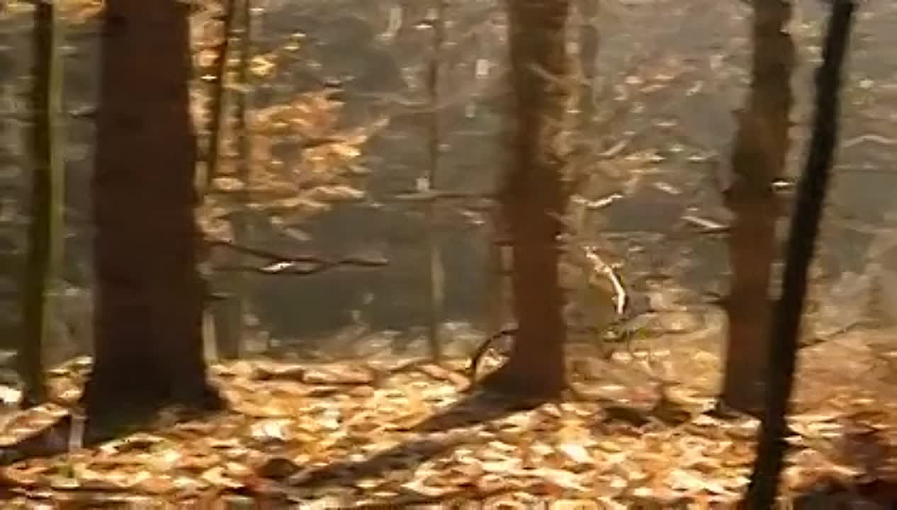 Ranč U zelené sedmy-2.serie