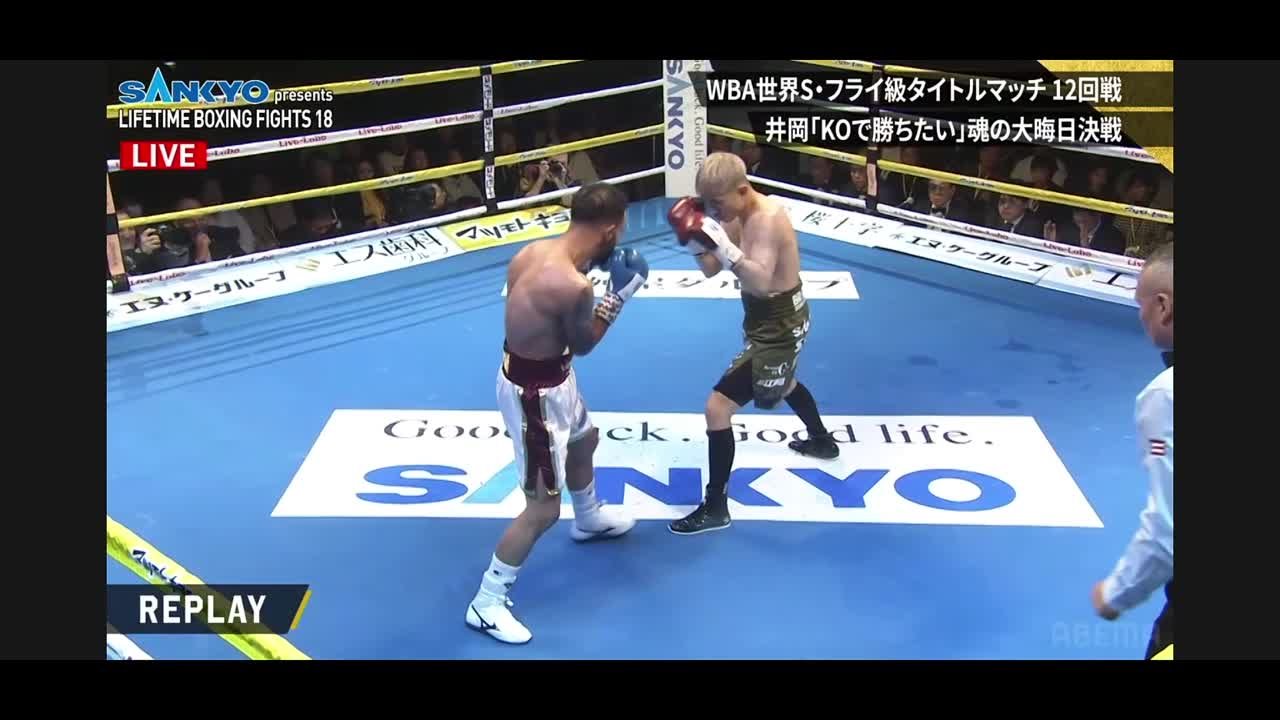 Бокс 2023 года