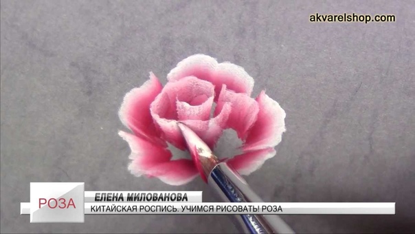 ЕЛЕНА МИЛОВАНОВА