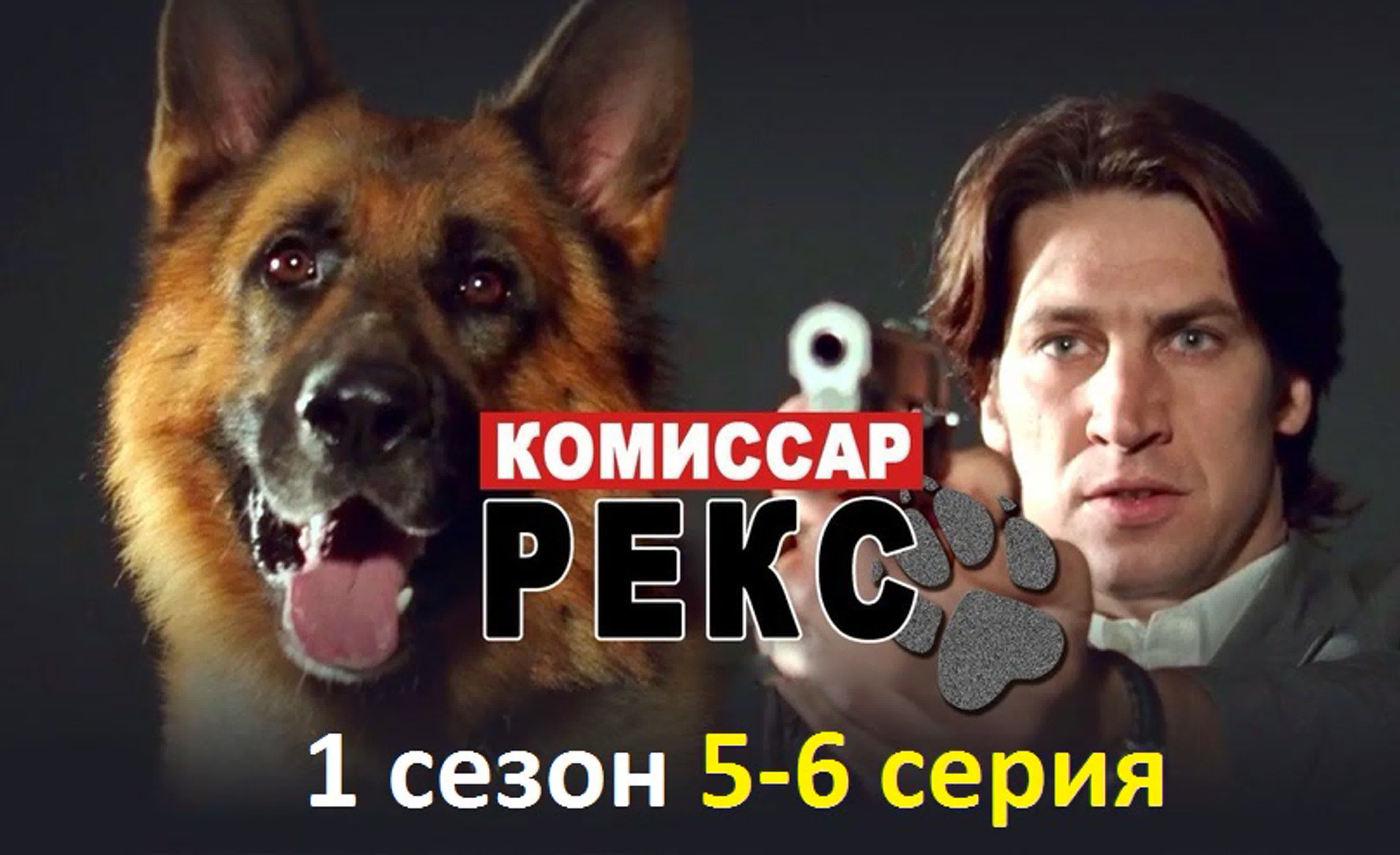 Комиссар Рекс (Сериал, 1994–2015)