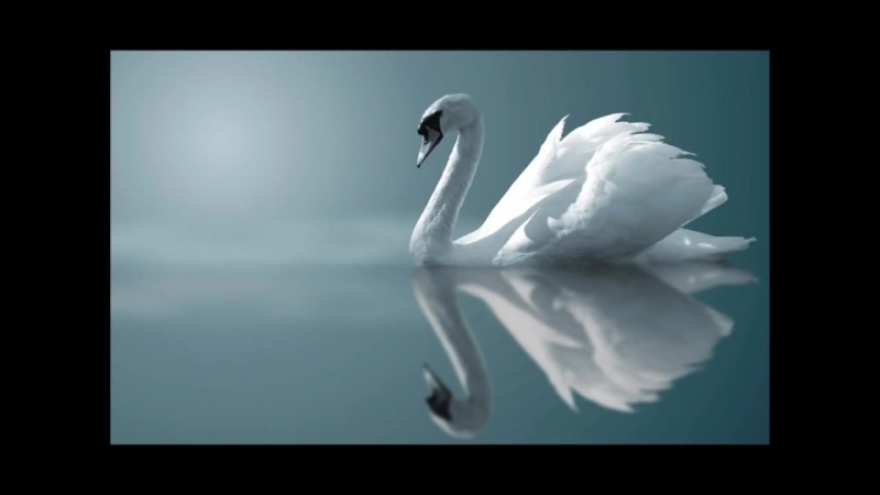 Красивая музыка.