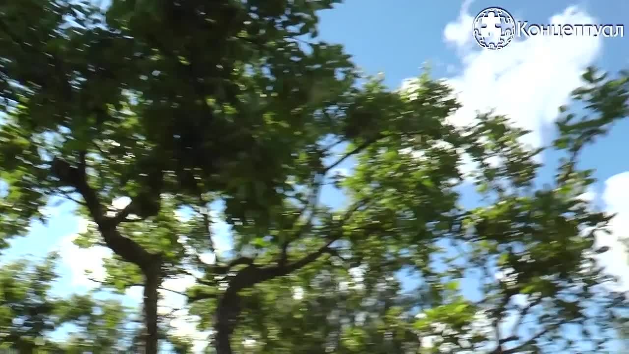 Разговор с волхвом.