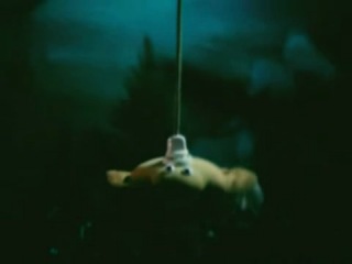 Мультфильмы