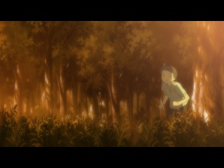 Белый Альбом II / White Album II