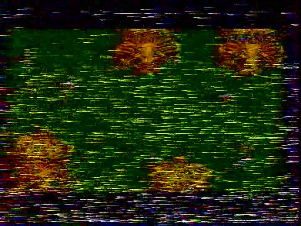 Kenga представляе (Украина , г. Киев , 1995-1996 гг ?)