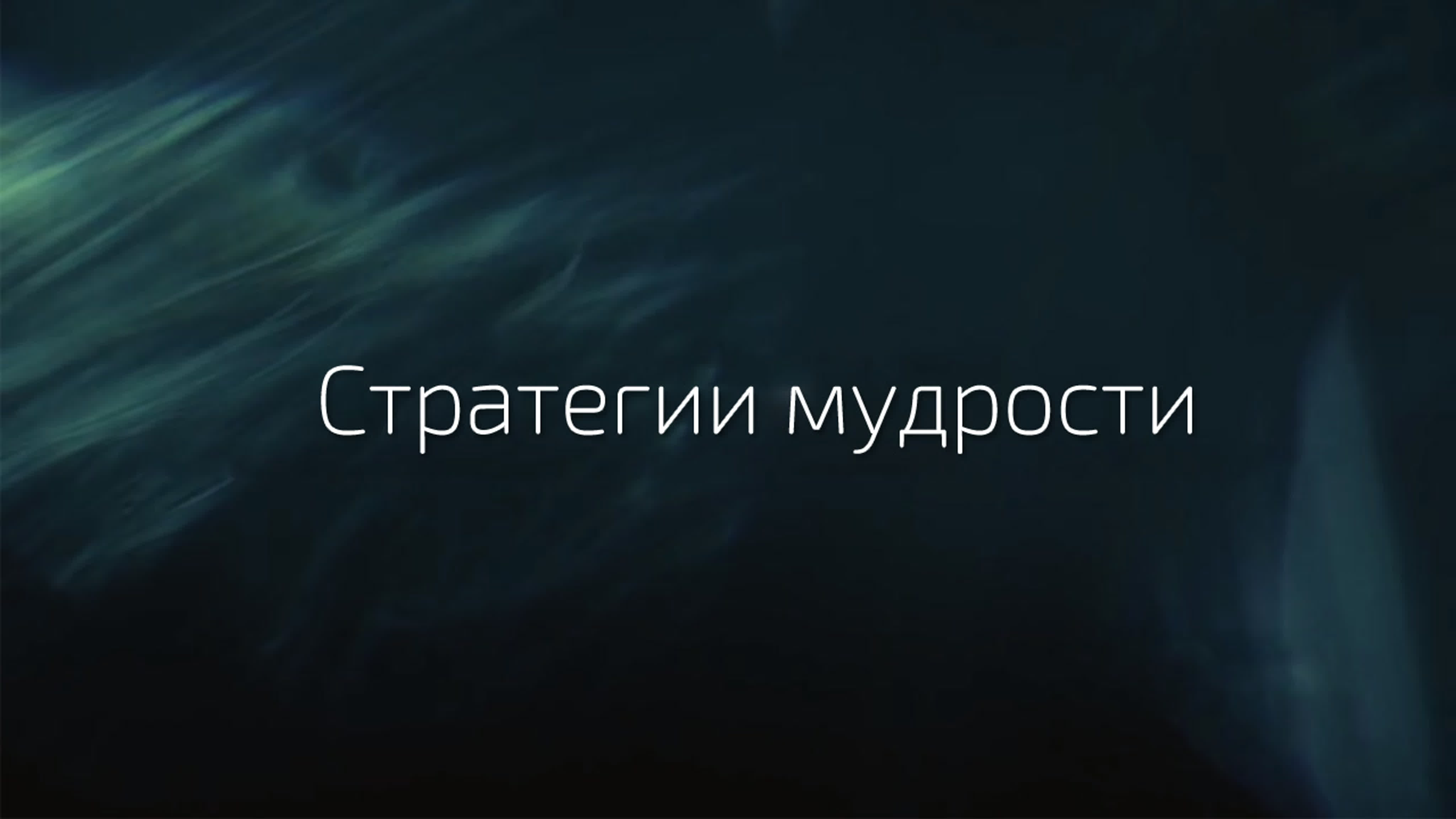 Альберт Сафин - Стратегии мудрости