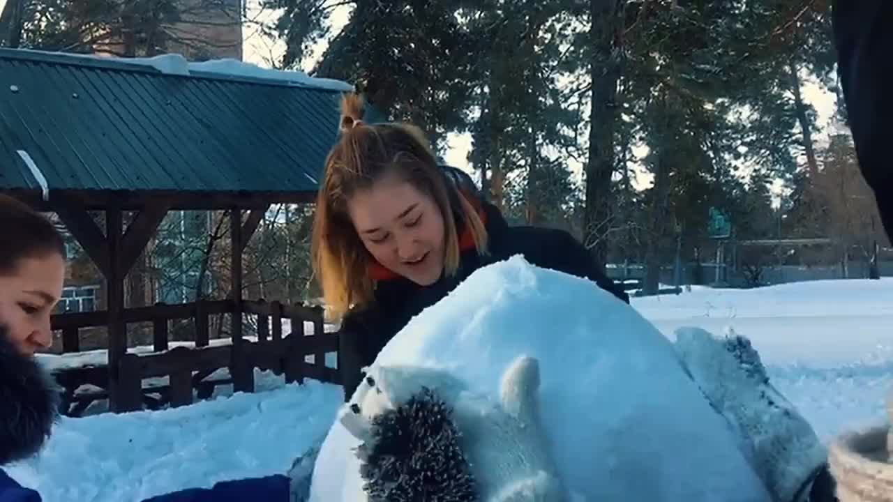Телеканал "Радуга" представляет ... (февраль 2019)