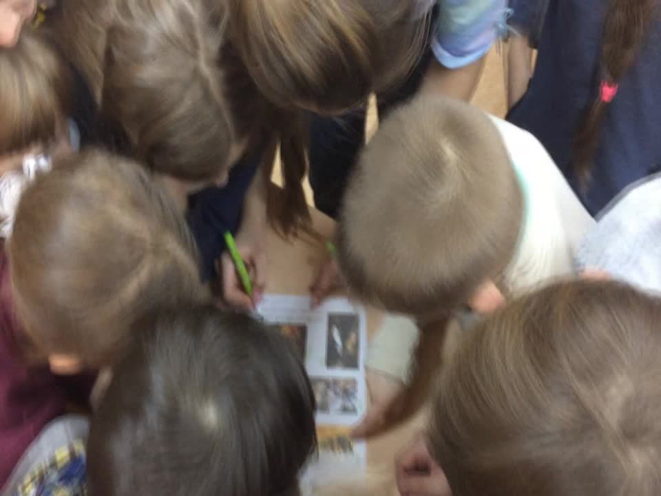 РАДУГАТАВР декабрь 2018