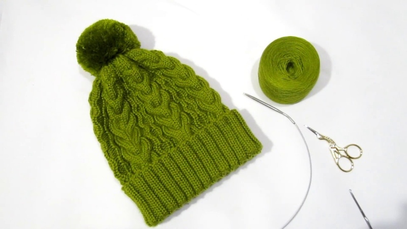 образование