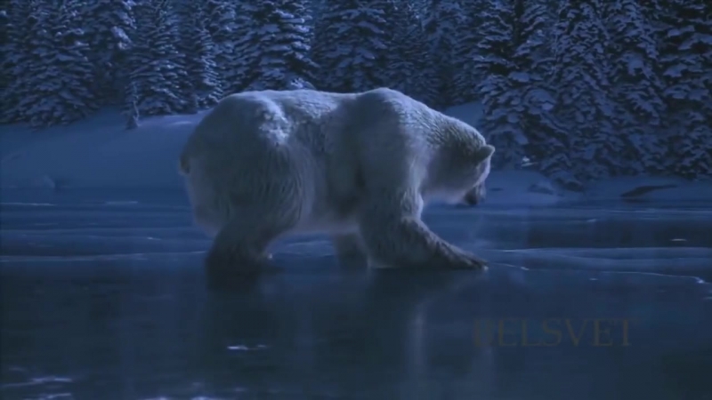 танцы музыка