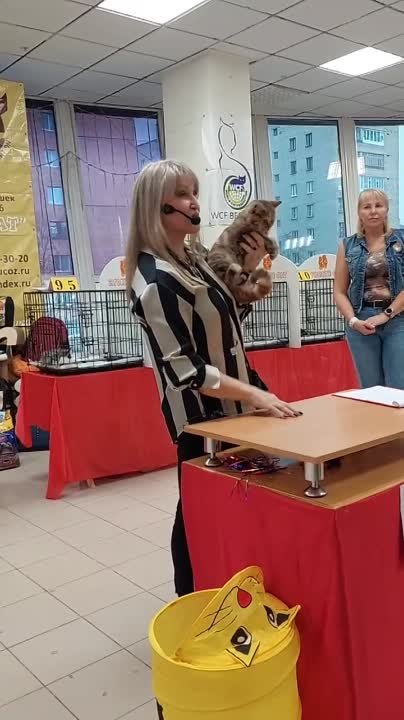 21-22 октября 2023) КОРАЛЛОВАЯ ОСЕНЬ( КЭТ АССОРТИ)