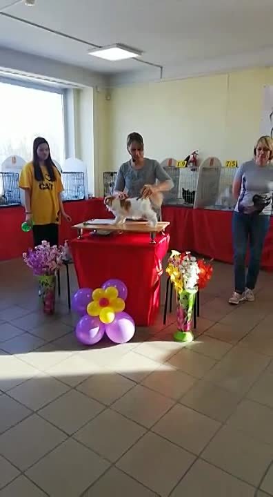 КЭТ АССОРТИ - 11-12.03.2023