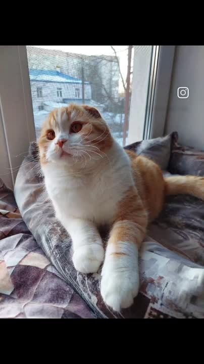 LITTER "H" 14.02.2022 BENEDIKT & OKATAVIA