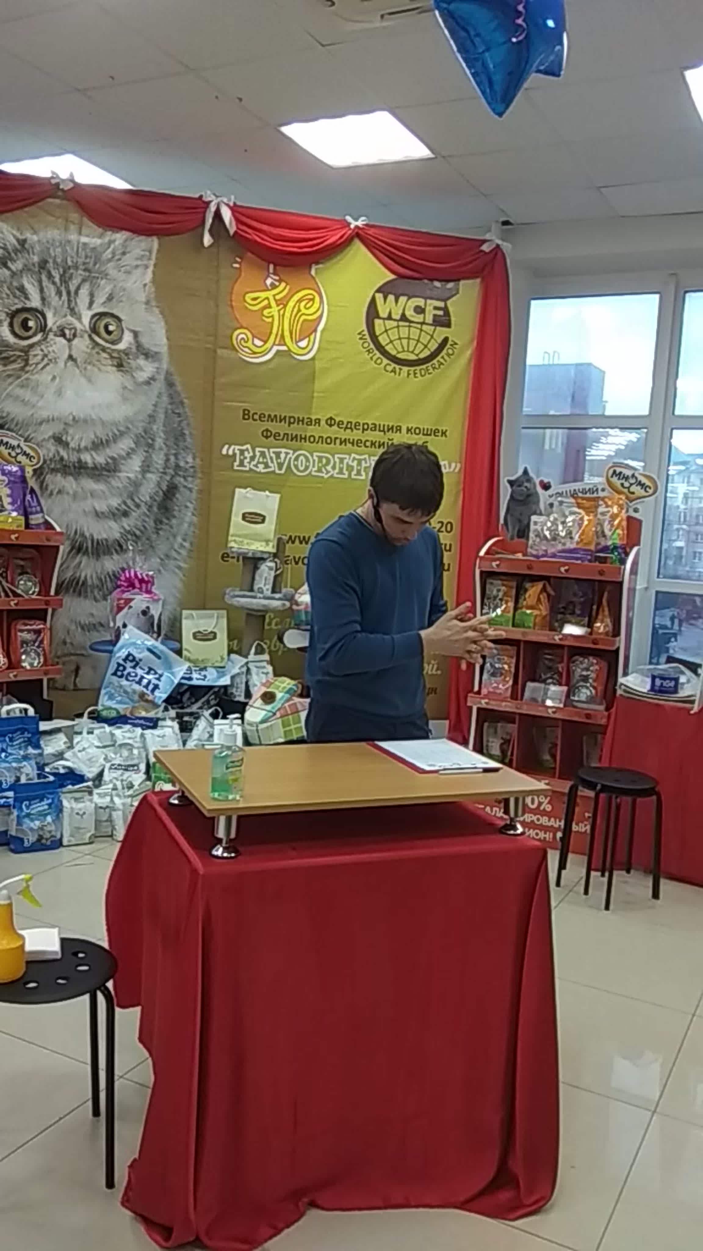 Выставка кошек "КЭТ ПАРАД - 2020" Архангельск, 22-23 февраля))